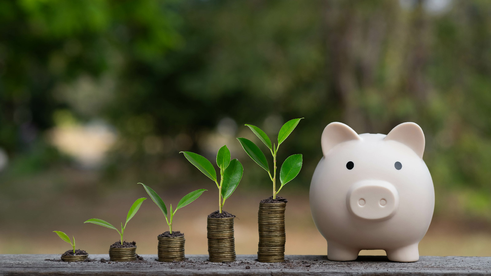 sähkoinen taloushallinto tilitoimistojen maaseutuyrittäjille